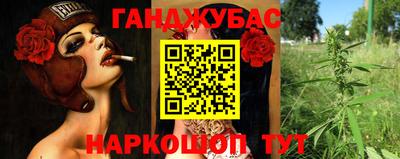 стаф Малгобек
