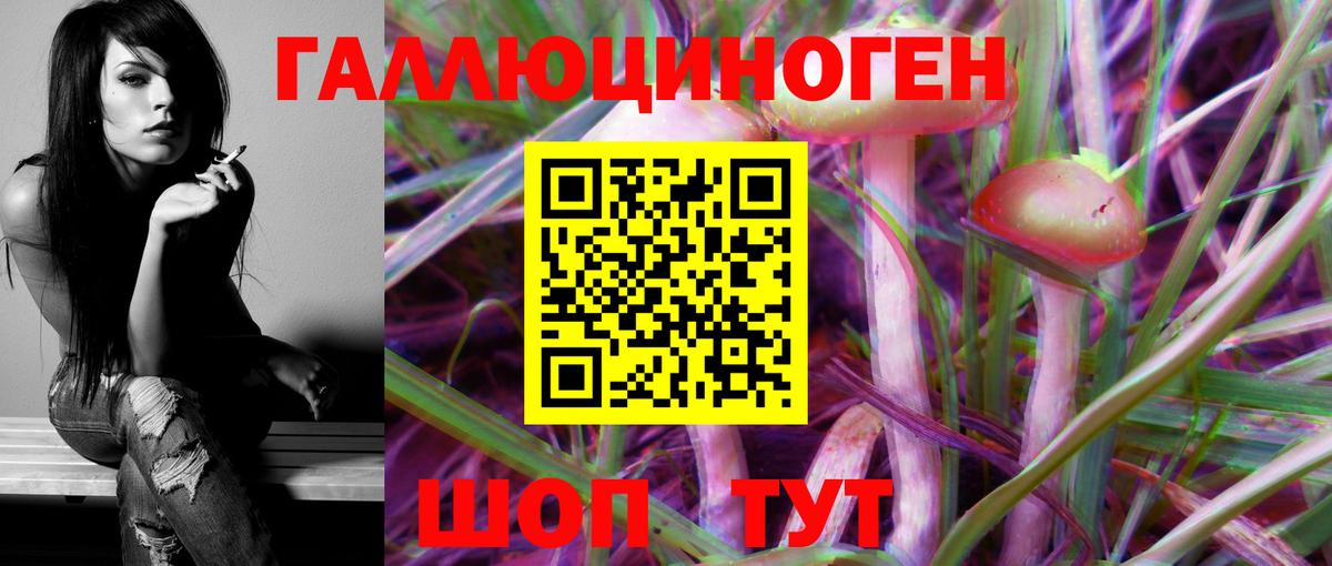 Зеленогорск  Галлюциногенные грибы MAGIC MUSHROOMS  Вход с VPN 
